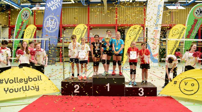 Hamburger Meisterschaft Volleyball Cup